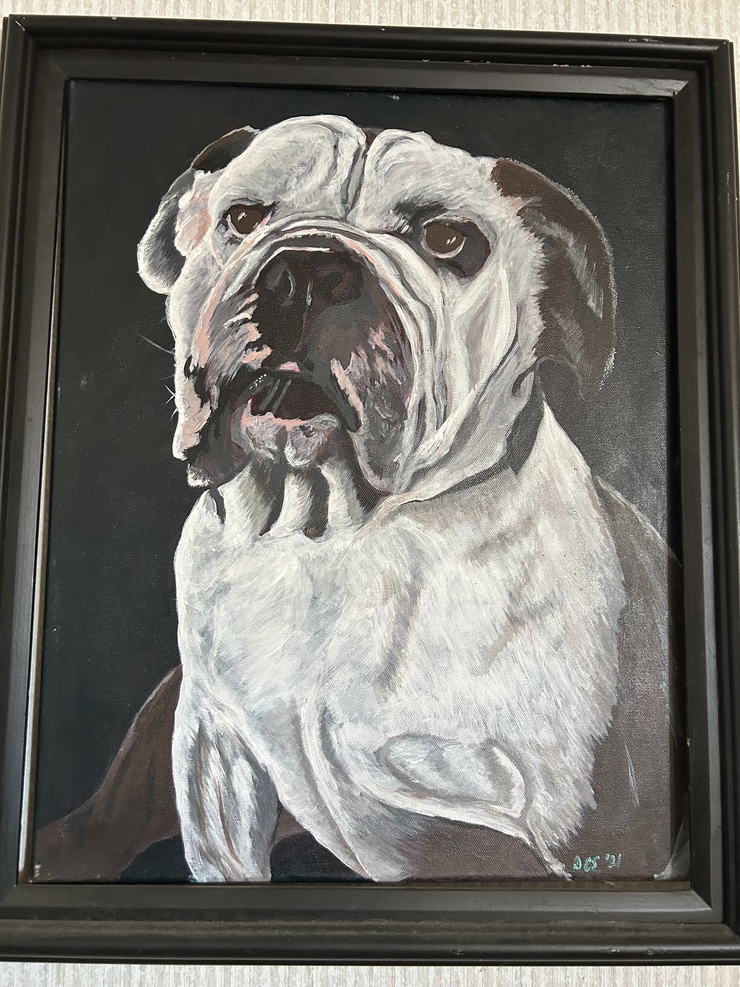 Bulldog Portrait