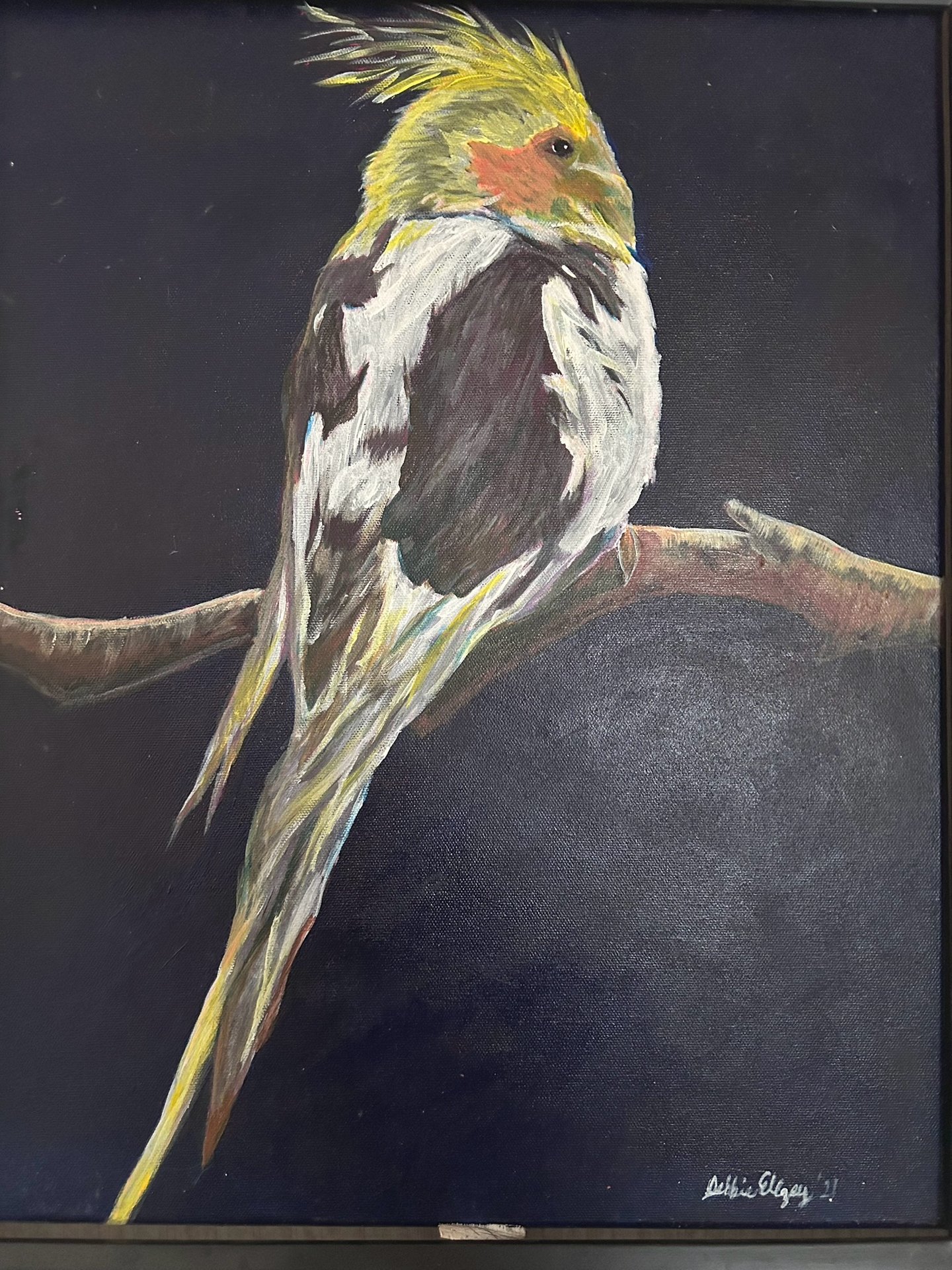 Cockatiel