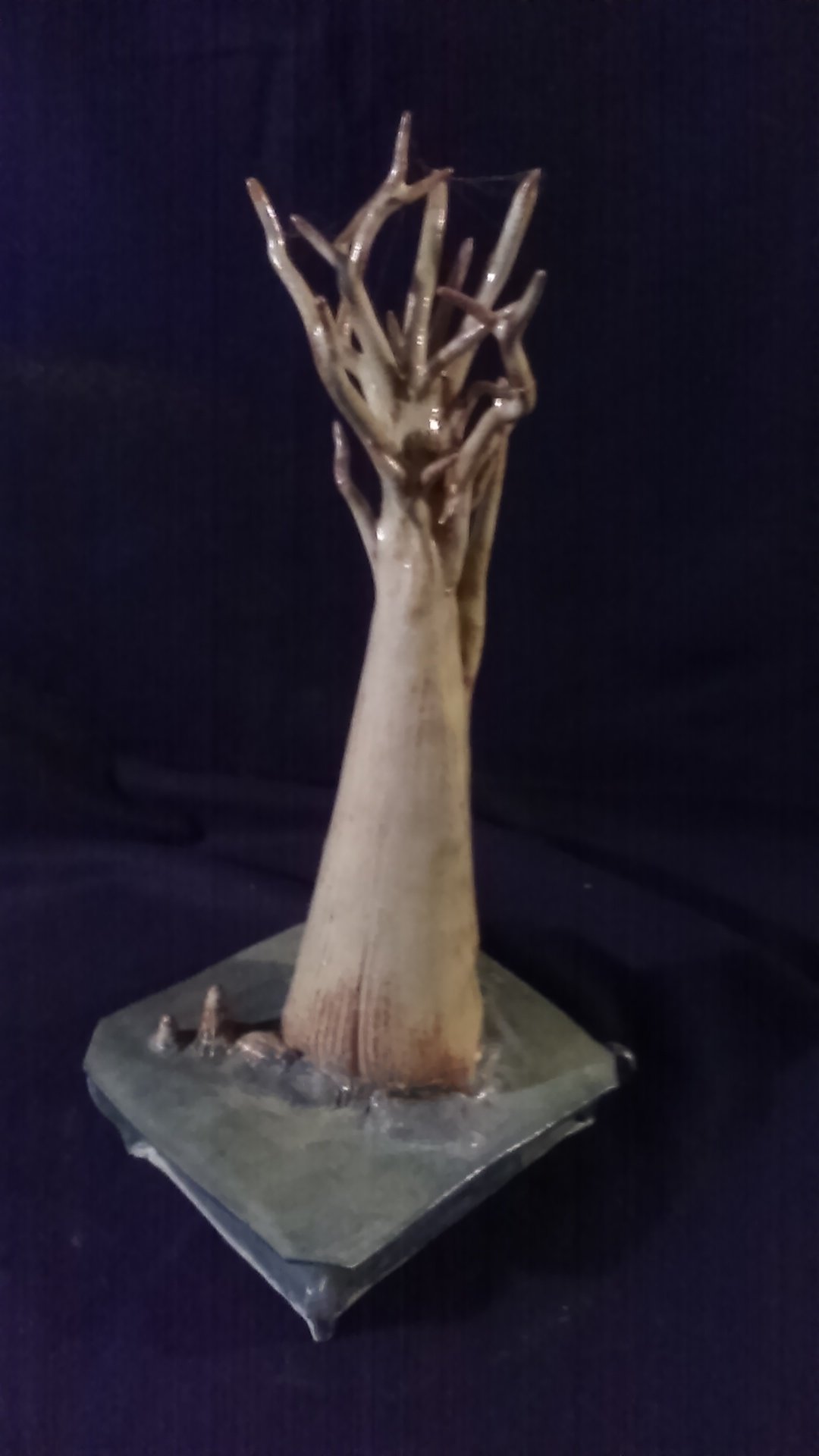 Rooted Ambition